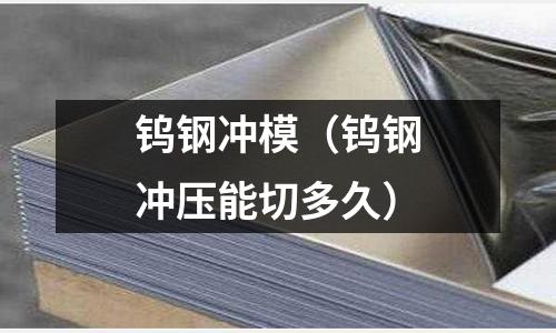 鎢鋼沖模（鎢鋼沖壓能切多久）