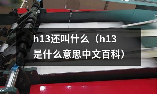 h13還叫什么(h13是什么意思中文百科)