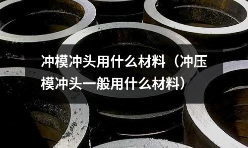 沖模沖頭用什么材料(沖壓模沖頭一般用什么材料)