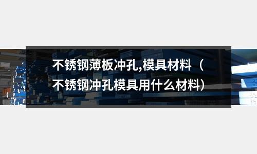 不銹鋼薄板沖孔,模具材料（不銹鋼沖孔模具用什么材料）