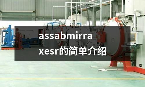 assabmirraxesr的簡單介紹