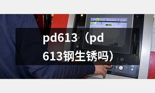pd613(pd613鋼生銹嗎)