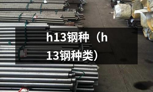 h13鋼種(h13鋼種類)