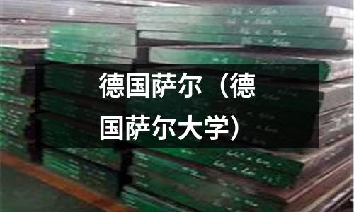 德國薩爾（德國薩爾大學）