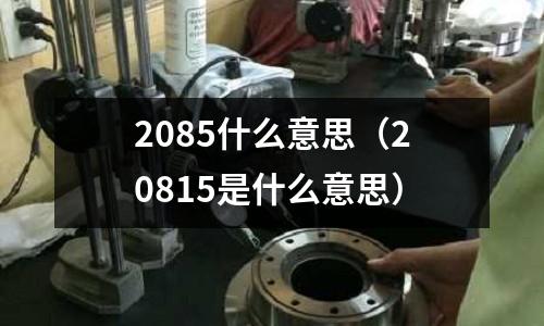 2085什么意思（20815是什么意思）