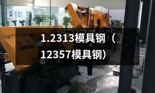 1.2313模具鋼（12357模具鋼）