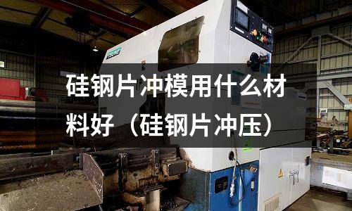硅鋼片沖模用什么材料好（硅鋼片沖壓）