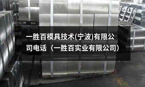 一勝百模具技術(寧波)有限公司電話(一勝百實業(yè)有限公司)