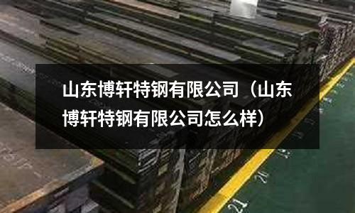 山東博軒特鋼有限公司(山東博軒特鋼有限公司怎么樣)