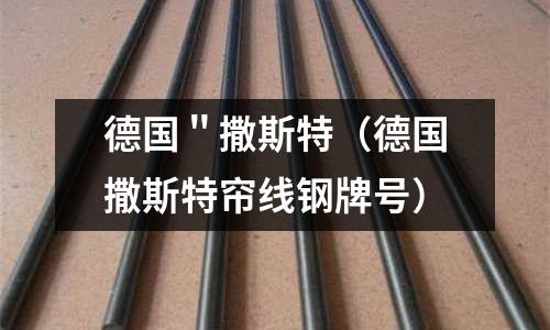 德國＂撒斯特（德國撒斯特簾線鋼牌號）