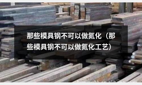 那些模具鋼不可以做氮化(那些模具鋼不可以做氮化工藝)