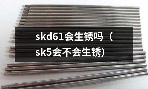 skd61會生銹嗎（sk5會不會生銹）