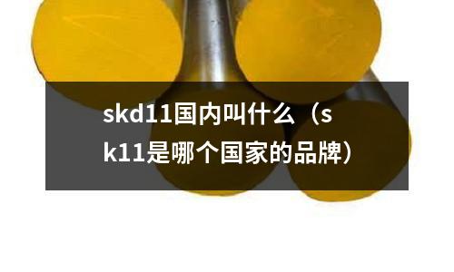 skd11國內叫什么（sk11是哪個國家的品牌）