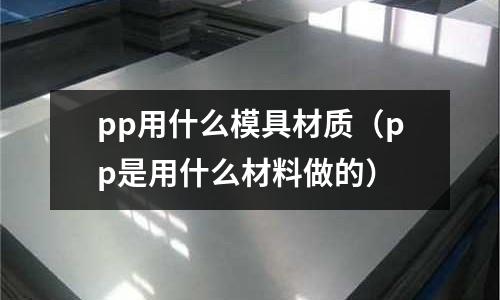 pp用什么模具材質(zhì)(pp是用什么材料做的)