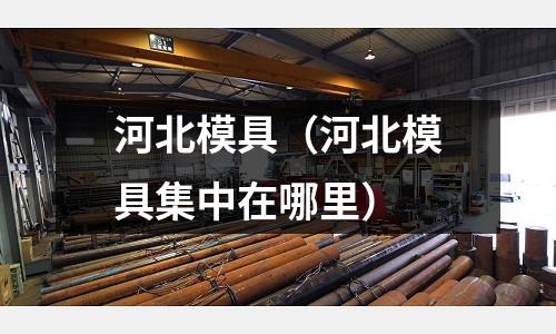 河北模具(河北模具集中在哪里)