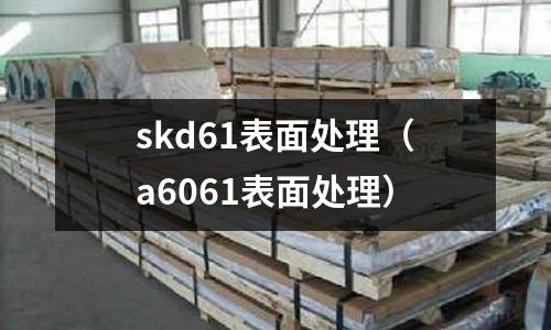 skd61表面處理（a6061表面處理）