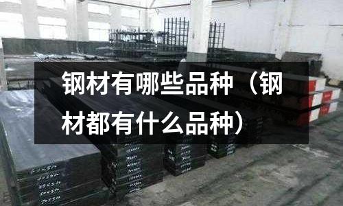 鋼材有哪些品種(鋼材都有什么品種)