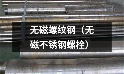 無磁螺紋鋼（無磁不銹鋼螺栓）