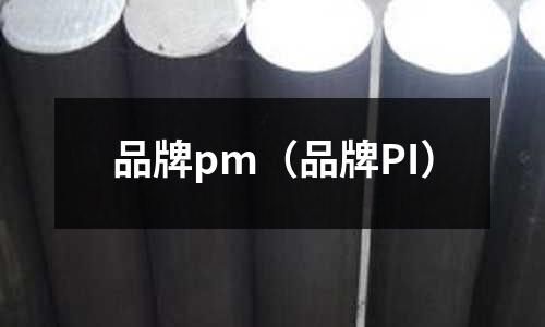 品牌pm(品牌PI)