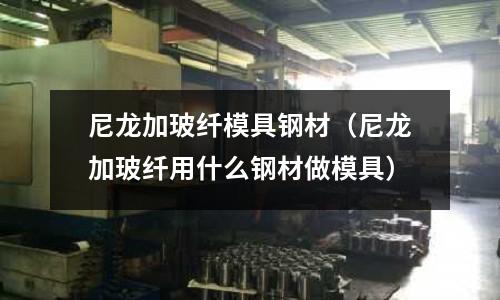 尼龍加玻纖模具鋼材(尼龍加玻纖用什么鋼材做模具)
