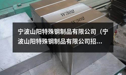 寧波山陽特殊鋼制品有限公司（寧波山陽特殊鋼制品有限公司招聘）