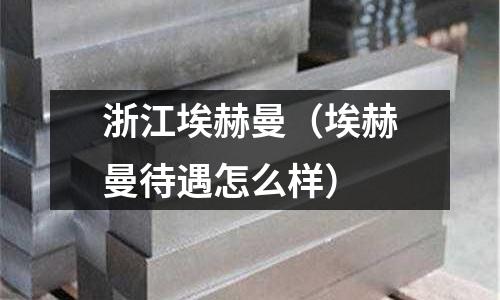 浙江埃赫曼（埃赫曼待遇怎么樣）