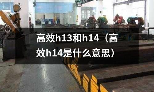 高效h13和h14（高效h14是什么意思）