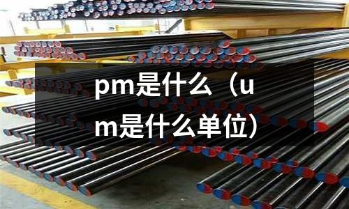 pm是什么(um是什么單位)