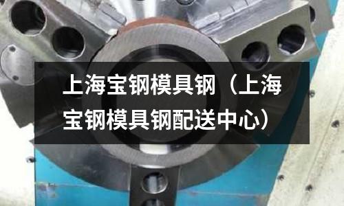 上海寶鋼模具鋼（上海寶鋼模具鋼配送中心）