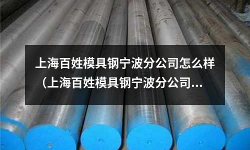 上海百姓模具鋼寧波分公司怎么樣(上海百姓模具鋼寧波分公司怎么樣啊)