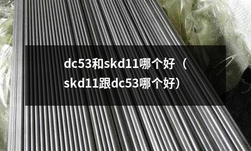 dc53和skd11哪個好（skd11跟dc53哪個好）