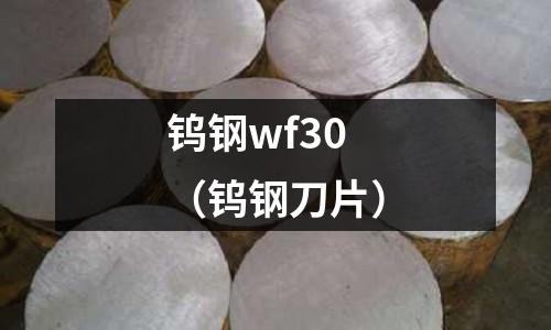 鎢鋼wf30（鎢鋼刀片）