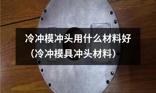 冷沖模沖頭用什么材料好（冷沖模具沖頭材料）