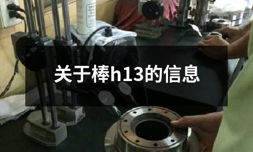 關于棒h13的信息