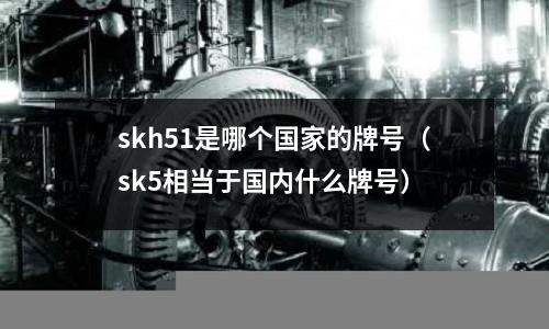 skh51是哪個國家的牌號（sk5相當于國內什么牌號）