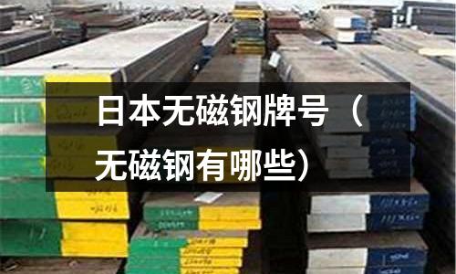 日本無磁鋼牌號（無磁鋼有哪些）