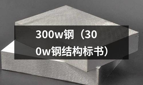 300w鋼(300w鋼結構標書)