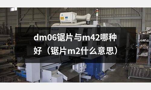dm06鋸片與m42哪種好（鋸片m2什么意思）