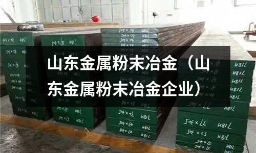 山東金屬粉末冶金（山東金屬粉末冶金企業）