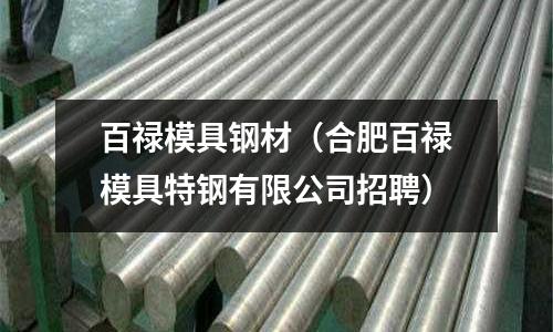 百祿模具鋼材（合肥百祿模具特鋼有限公司招聘）