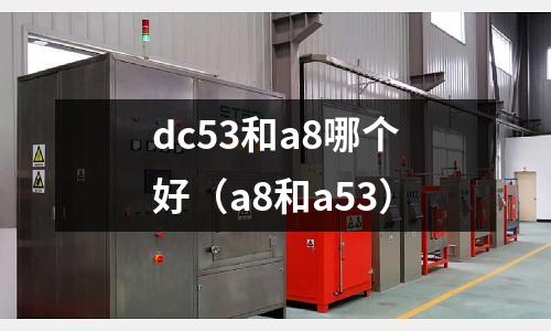 dc53和a8哪個(gè)好(a8和a53)