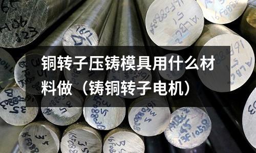 銅轉子壓鑄模具用什么材料做（鑄銅轉子電機）