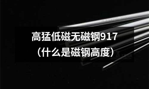 高猛低磁無磁鋼917(什么是磁鋼高度)
