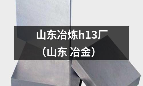 山東冶煉h13廠（山東 冶金）