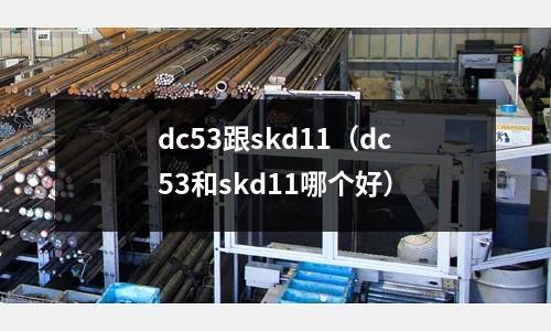 dc53跟skd11（dc53和skd11哪個(gè)好）