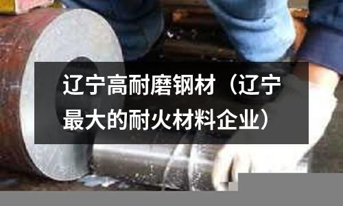 遼寧高耐磨鋼材（遼寧最大的耐火材料企業）