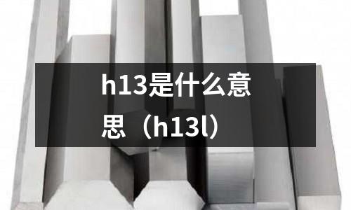 h13是什么意思（h13l）