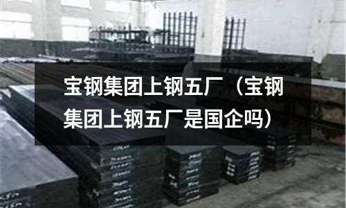 寶鋼集團上鋼五廠（寶鋼集團上鋼五廠是國企嗎）