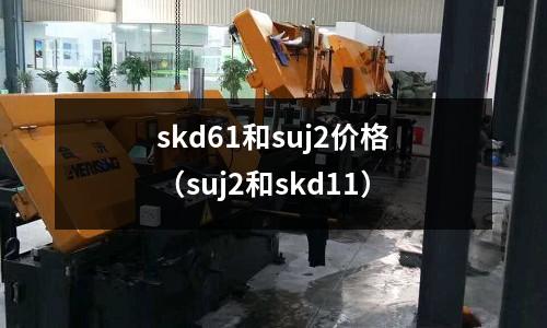 skd61和suj2價格(suj2和skd11)