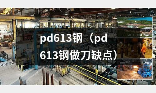 pd613鋼（pd613鋼做刀缺點）